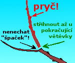 �ez