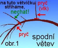 ez doln vtve