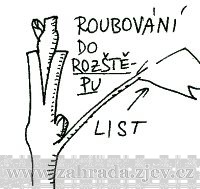 roubovn rvy