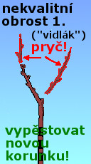 �ez