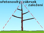 v�etenovit� z�krsek - zalo�en�