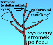 �ez