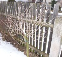 angre�t