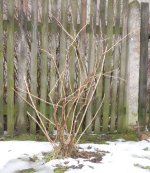 angre�t